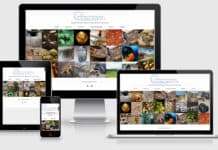 Site de la Fondation Archéologique Pierre Mercier Site Fondation Archeologique Pierre Mercier