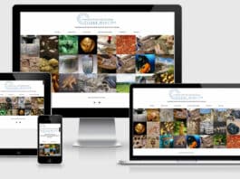 Site de la Fondation Archéologique Pierre Mercier Site Fondation Archeologique Pierre Mercier