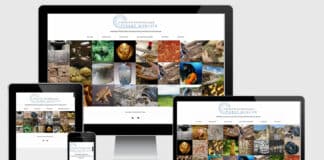 Site de la Fondation Archéologique Pierre Mercier Site Fondation Archeologique Pierre Mercier