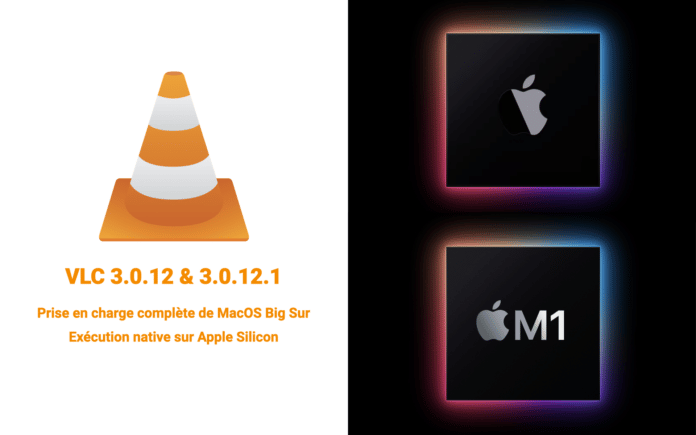 VLC 3.0.12 et 3.0.12.1